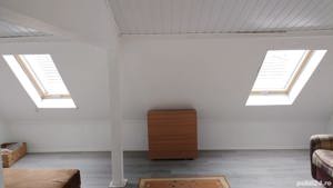 Conac cu mansardă și garaj la țară zonă liniștită cu livadă și vie 30 km distanță de Brăila - imagine 12