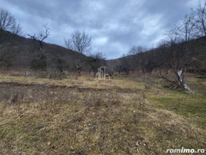 Teren de vanzare intravilan, 10 000 Mp , Sighisoara - imagine 6