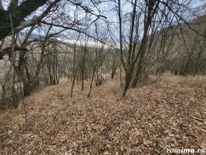 Teren de vanzare intravilan, 10 000 Mp , Sighisoara - imagine 4