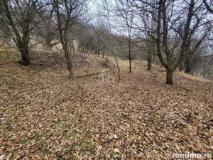 Teren de vanzare intravilan, 10 000 Mp , Sighisoara - imagine 3