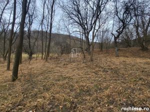 Teren de vanzare intravilan, 10 000 Mp , Sighisoara - imagine 5