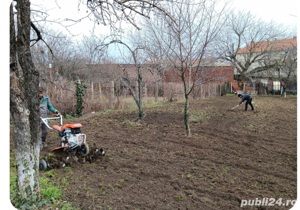 Servicii defrișări  întreținere spații verzi - imagine 4