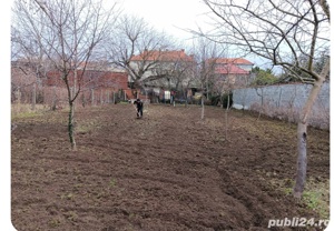 Servicii defrișări  întreținere spații verzi - imagine 5