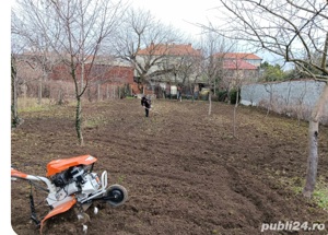 Servicii defrișări  întreținere spații verzi - imagine 2