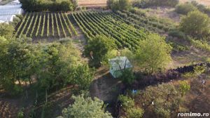 Teren intravilan Tecuci/Podgorie si Pomi Fructiferi/5000 mp - imagine 11