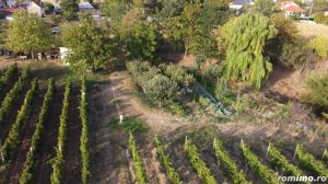 Teren intravilan Tecuci/Podgorie si Pomi Fructiferi/5000 mp - imagine 5