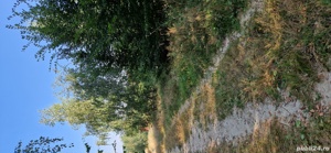 Teren Casele Micesti Feleacu Ciurila - imagine 3