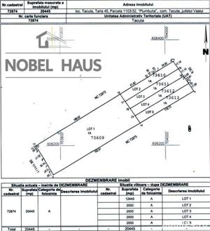 Loturi de teren 2000 mp, intravilan, loc Tacuta, jud Vaslui - imagine 2
