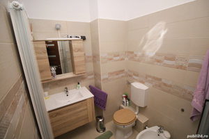 Apartament 3 camere si 2 bai cartier Cioplea - imagine 10