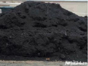 Pamant negru nisip balastru