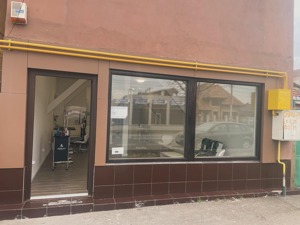 Frizerie Canina Pufosenii  - imagine 3 Frizerie Canina Pufosenii  - imagine 3