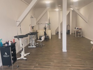 Frizerie Canina Pufosenii  - imagine 5 Frizerie Canina Pufosenii  - imagine 5