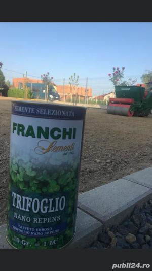 Defisari+Toaletare copaci = tocare resturi vegetale  - imagine 7