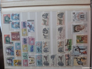 Vând clasor timbre vechi  - imagine 3