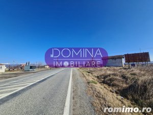 Oportunitate achiziție teren intravilan, în  Câmpu Mare la DN 67 - imagine 3