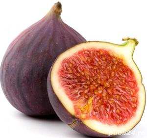 Butasi Smochini Soiul Svinita  Si Alte Soiuri In Comentariu