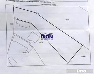 Domnesti Teghes ideal investitie,toate utilitatile - imagine 2