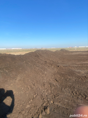 Mranita de oii,Gunoi de grajd - imagine 3