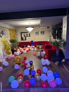 Casă de închiriat - Piscina -  Vilă petreceri - Majorat -Zi de Naștere - Gender Reveal - Onomastica - imagine 5