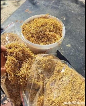 Firicel Premiumm extra fin de 0.1milimetri cu tarie medie prelucrat de fabrica  