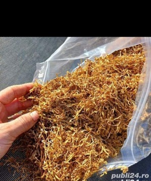 Tutun firicel si tocat sigilat la găleatusa de plastic Firicel 0.1m 0.2m 0.3m și tocat pentru mai mu