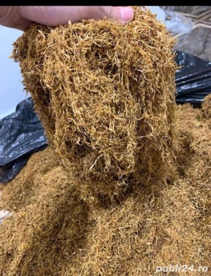 Tutun firicel galben auriu 0.1mm ambalat la găleată premium 