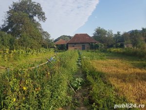 Vand casa, teren agricol si padure in Cheud - imagine 6