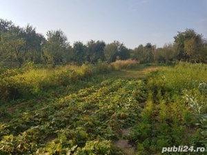 Vand casa, teren agricol si padure in Cheud - imagine 7