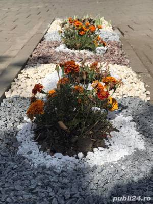 Pietricele decorative pentru spatii verzi, gradini, jardiniere - SV - imagine 5
