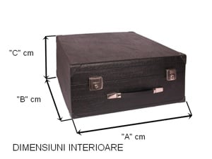 Vand valiza pentru acordeon  - Italia
