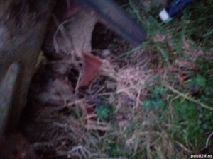 Vand freza pt pamant  - imagine 2