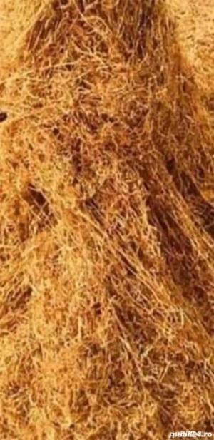 Firicel de cea mai buna calitate 