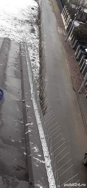 Montez țepi contra porumbei  - imagine 3