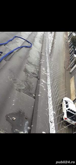 Montez țepi contra porumbei  - imagine 2