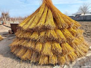 Nuiele și cosuri rachita - imagine 8