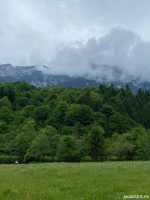 Brasov - Plaiul Foii, 2.750 mp teren intravilan in zona pitoreasca. - imagine 3