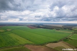 Teren arabil de 1284 hectare în Botoșani - imagine 3