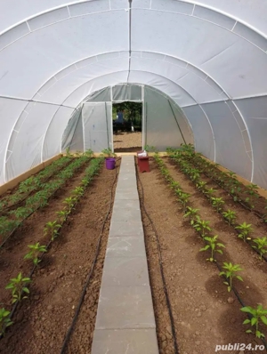 Solarii pentru grădină  - imagine 3