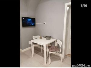 Regim hotelier-apartamente de inchiriat cu 1 si 2 camere-central Timisoara - imagine 6