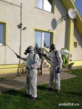 Efectuam servicii Dezinsectie Dezinfectie Deratizare  - imagine 6