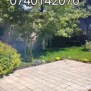 Efectuam servicii Dezinsectie Dezinfectie Deratizare  - imagine 8