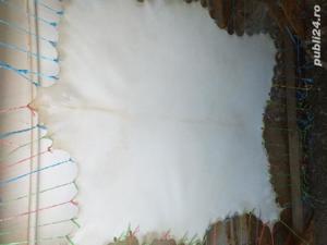Prelucram blanuri, piei, reconditionam obiecte din piele - imagine 4