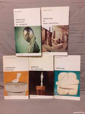 Brancusi carti despre (5 vol)