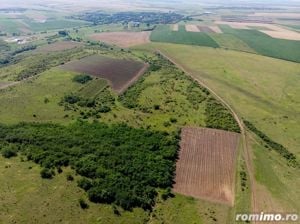 Teren arabil de 42 hectare în Vrancea - imagine 2