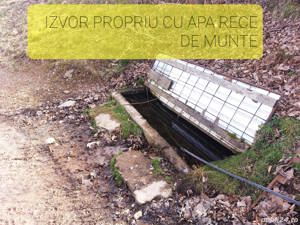 Vand casa la munte com. Bulz jud. BIHOR - imagine 10