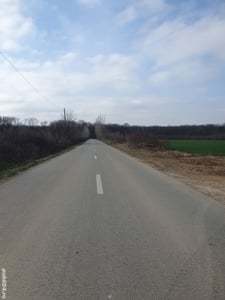 Teren intravilan lipit de padurea Scroviștea 16600 mp Peris langa Snagov  - imagine 5