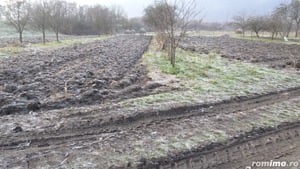 Vand casa curte si gradina in Branisca (la 15 Km de Municipiul Deva), suprafata de teren 2245 mp - imagine 2