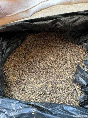 Srot de rapita (proteina 39,15%) - 1400  lei  to cu tva si transport inclus