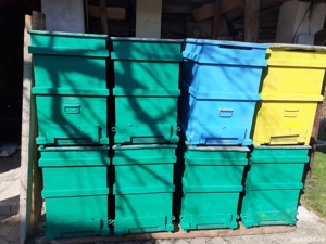 lazi albine - imagine 2