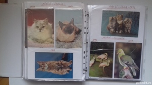 Carti Postale Vechi - 22 Tari (1344 buc.) 1918-2025 - imagine 5